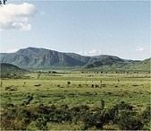 Satellite Mapping of Vegetation Change