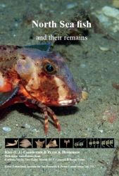North Sea Fish and Their Remains