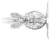 Crustacea of Norway, Vol. VI: Copepoda: Cyclopoida